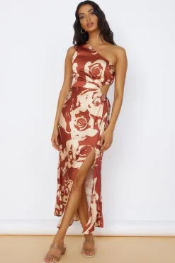 Fulfilled Dreams Maxi Dress Brown