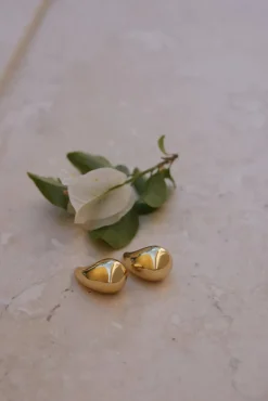 18k Gold Plated Iconic Moment Earrings Gold