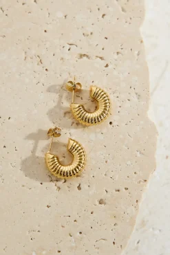 18k Gold Plated Spring Into Step Hoop Earrings Gold