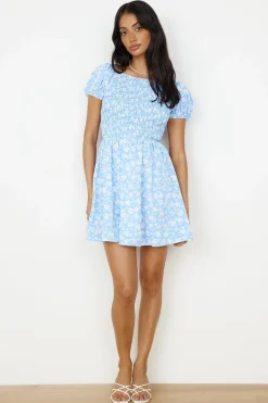 Like A Bluebird Dress